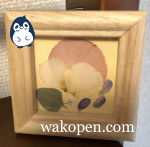 木の額縁に入った押し花